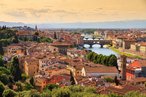 Florence Excursion by High Speed Train